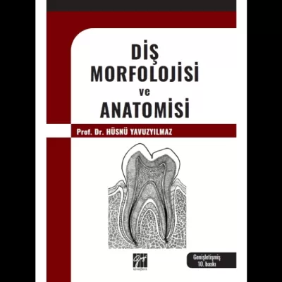 Gazi Diş Morfolojisi ve Anatomisi Hüsnü Yavuzyılmaz